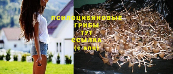 кокаин перу Белокуриха