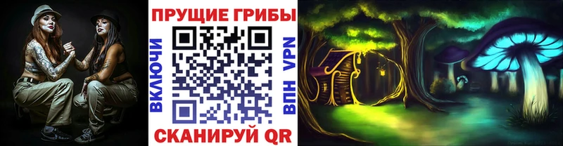 цены наркотик Высоковск Псилоцибиновые грибы прущие грибы